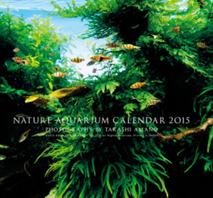 Calendario Ada 2015