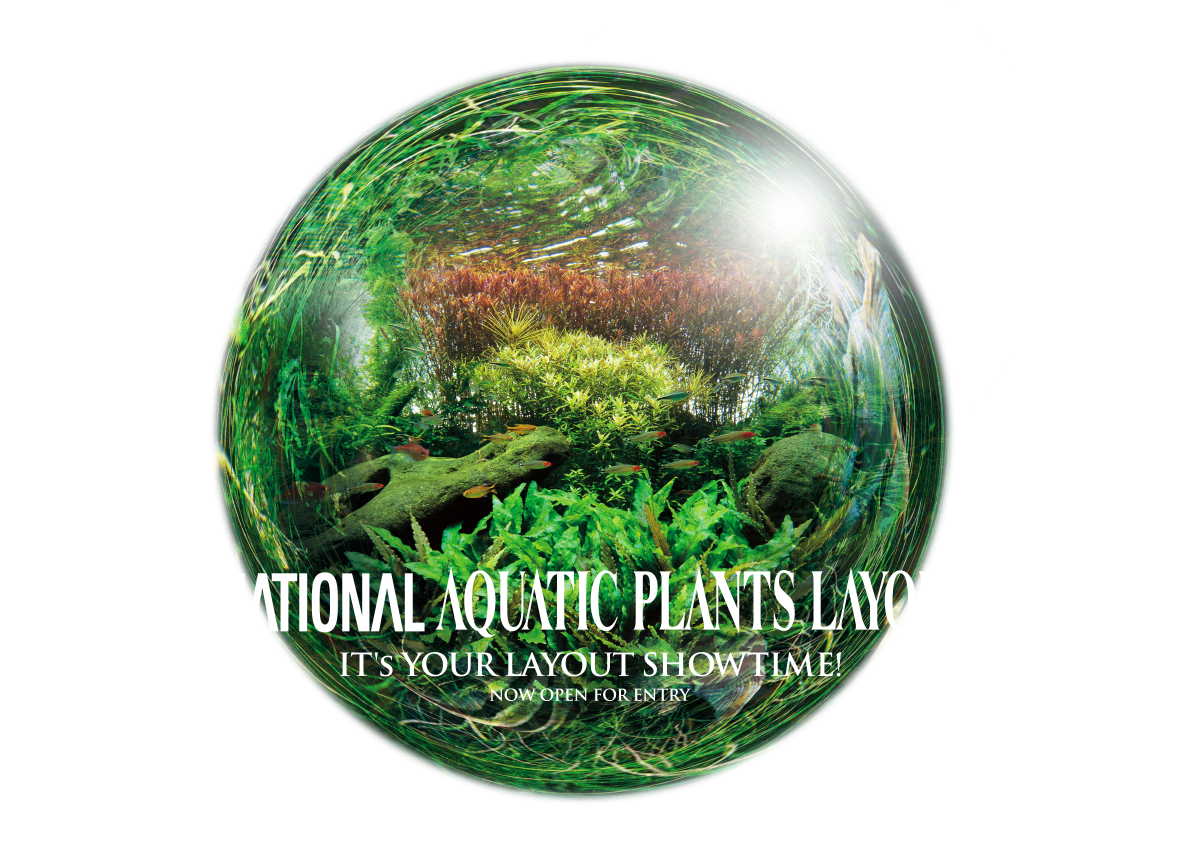 The International Aquatic Plants Layout Contest.