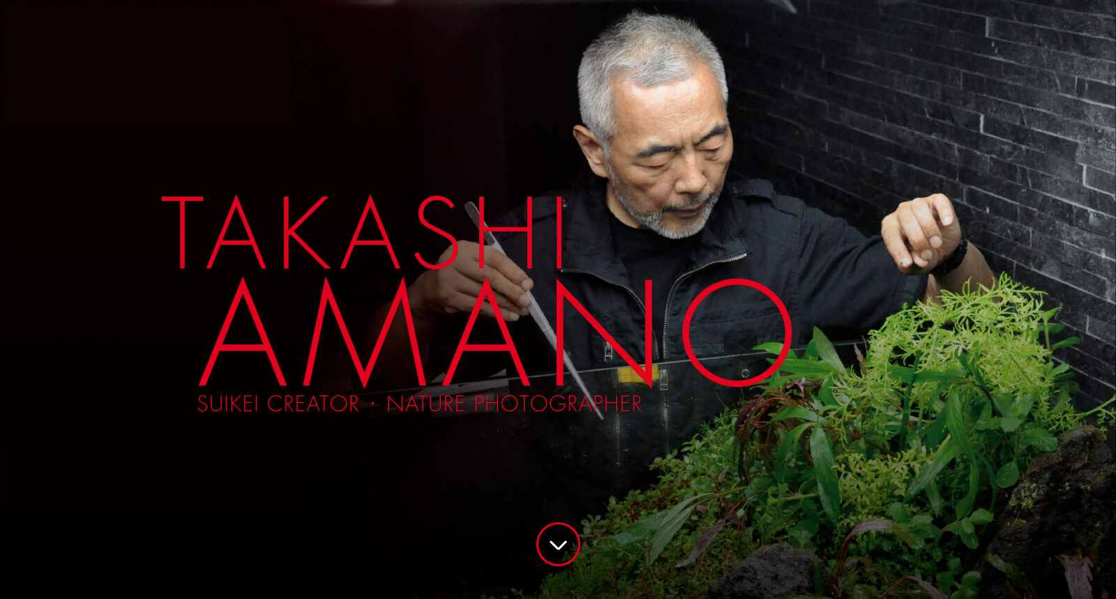 Takashi Amano, fondatore di ADA Aqua Design Amano ed inventore dell'Acquario Naturale